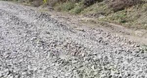 ब्राम्हणी – वांबोरी रस्त्याचे काम निकृष्ट दर्जाचे!