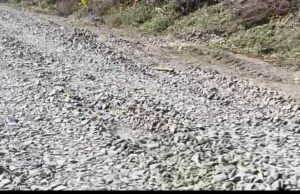 ब्राम्हणी – वांबोरी रस्त्याचे काम निकृष्ट दर्जाचे!