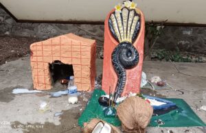 ब्राम्हणीत नागदेवतेची पूजा