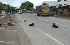 ते 2 प्रश्न तात्काळ मार्गी लावा – ग्रामस्थांची मागणी