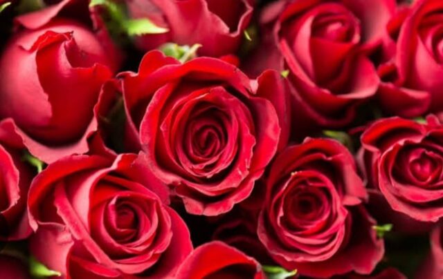 Screenshot_२०२५_०२१४_०९४००४