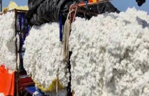 शिवांश कापूस खरेदी केंद्राचा शुभारंभ