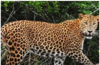 वांबोरीतील बळीराजा एकत्र येतोय