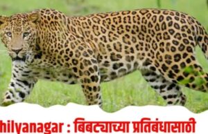 बिबट्याची धास्ती,कोट्यवधीचा निधी उपलब्ध