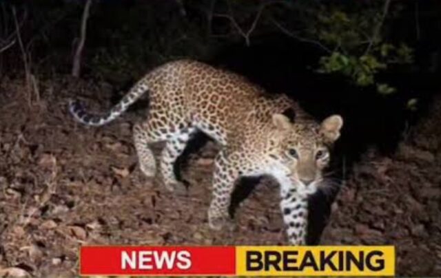 Screenshot_20251121_214954