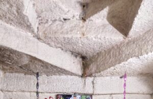 ब्राम्हणीत श्री मच्छिंद्रनाथ यात्रा उत्सव