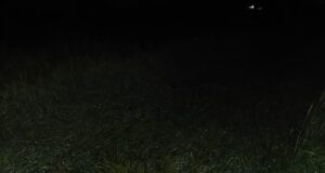 अवकाळीचा पिकांना फटका