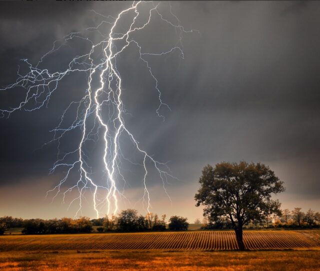 Screenshot_20260331_141330