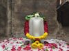 ब्राम्हणी शिवालयास अमरनाथ