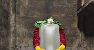 ब्राम्हणी शिवालयास अमरनाथ